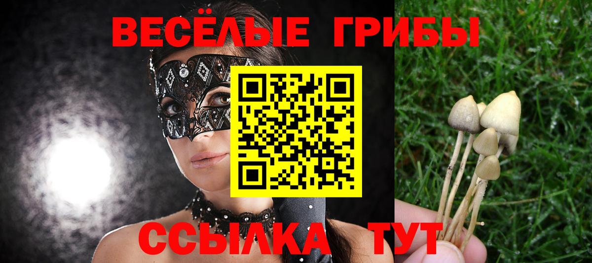 Галлюциногенные грибы MAGIC MUSHROOMS  Вход с VPN  Строитель 