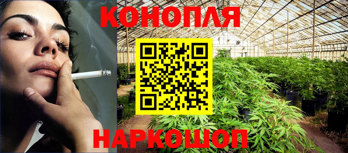 Канабис конопля  Вход с VPN  Строитель  Бошки Шишки THC 21% 